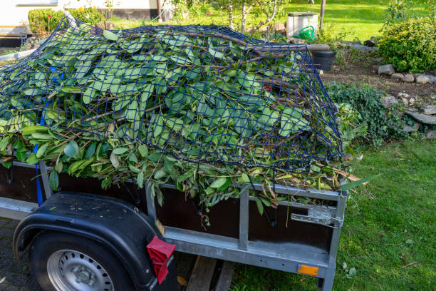 Best Basement Cleanout  in Tualatin, OR